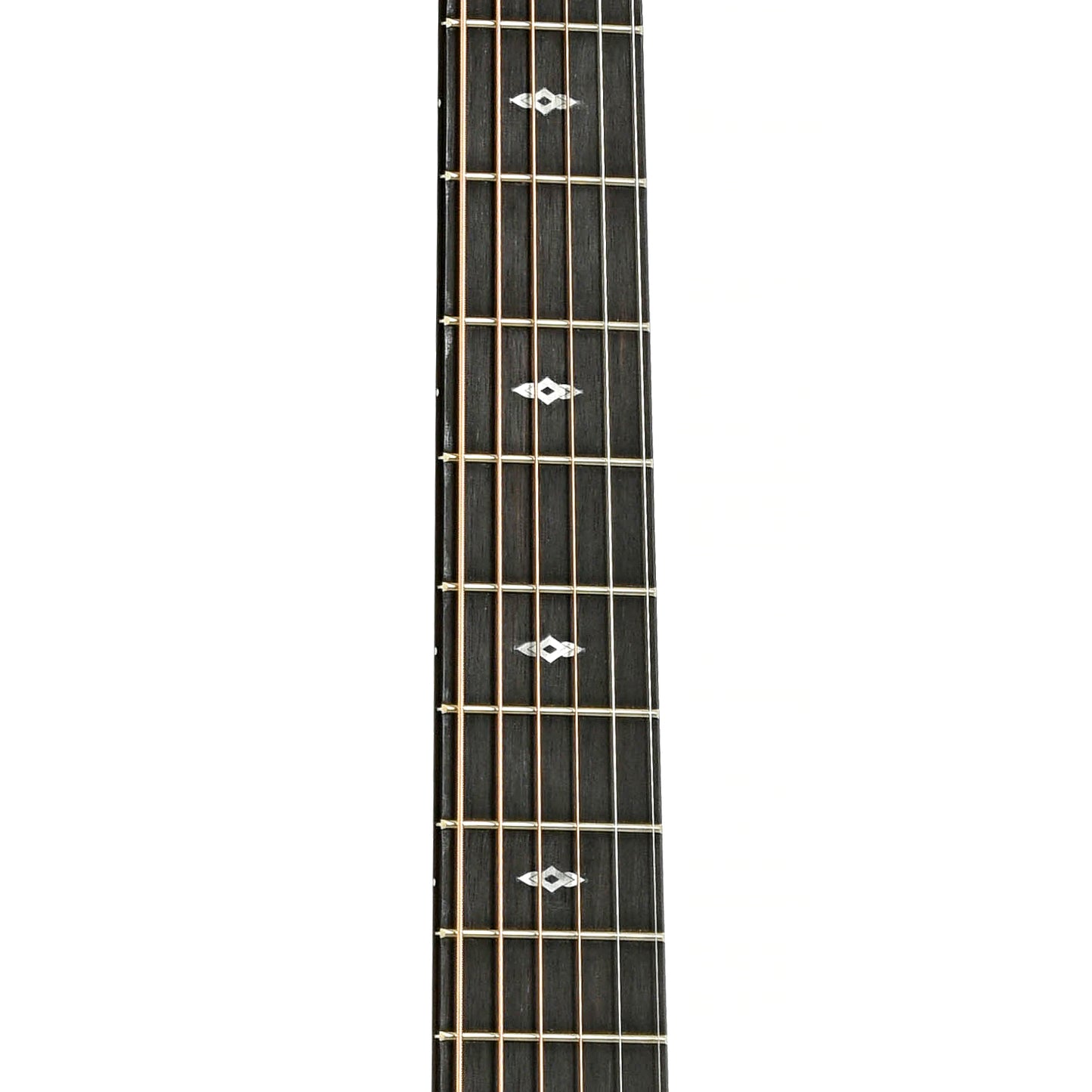 Fretboard of Taylor 214ce Limited Edition Tigerwood Acoustic Guitar