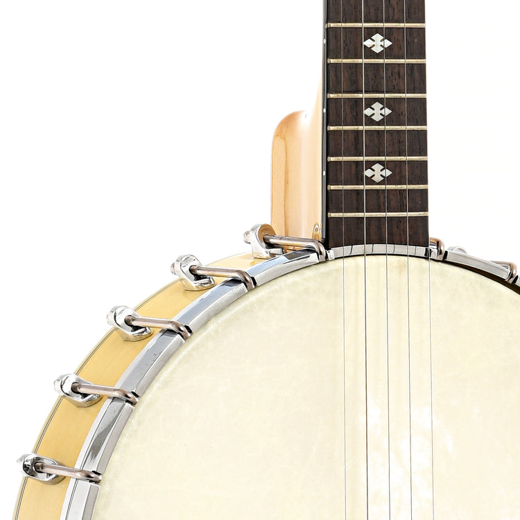 Front body and neck join of Gold Tone MM150LN Extra Longneck Banjo (2003)