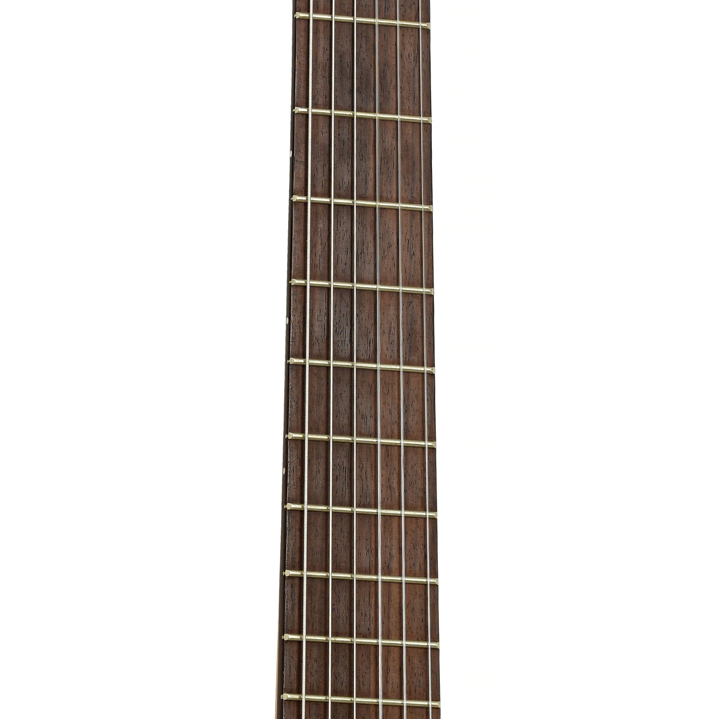 Fretboard of Ortega RCE180T-LTD Classical Guitar