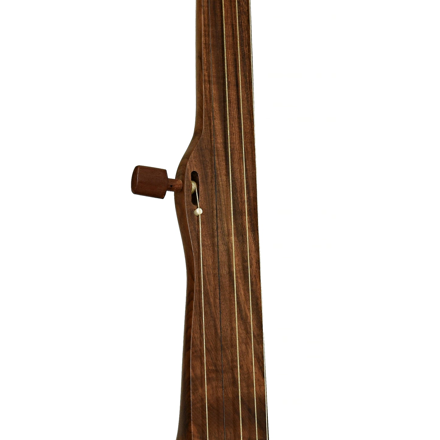 Fingerboard of Bob Thornburg Minstrel Banjo