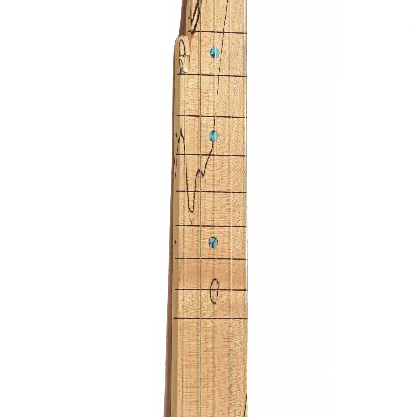 Fretboard of Blue Star Mountain Banjo