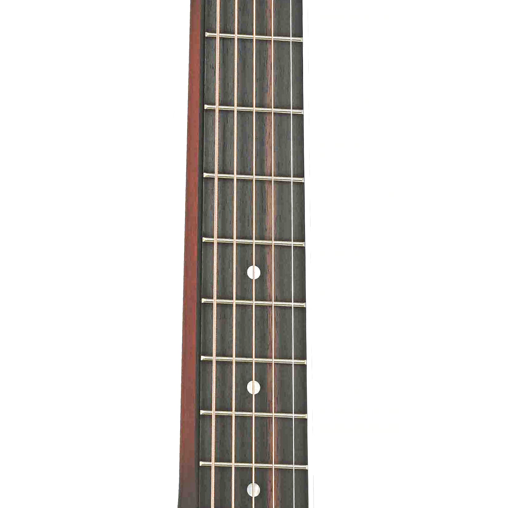Fretboard of Beard Vintage R Squareneck Resonator 