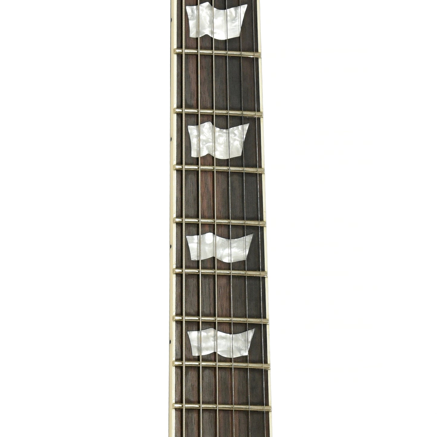 Fretboard of ESP LTD BK-600 Signature Series Electric Guitar