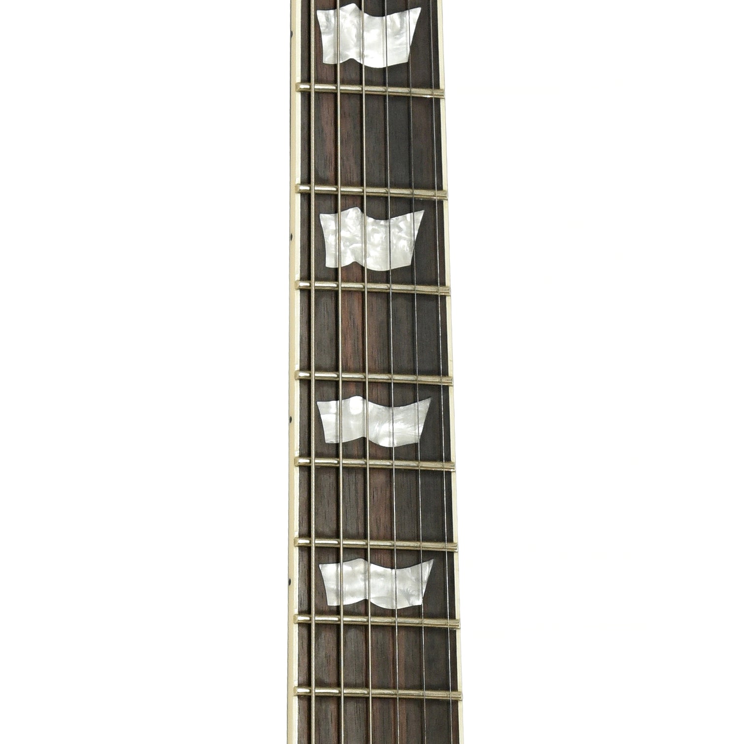 Fretboard of ESP LTD BK-600 Signature Series Electric Guitar