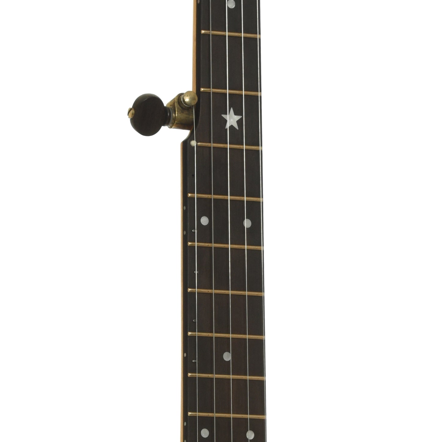 Fretboard of Rickard Maple Ridge 11 in. Openback Banjo