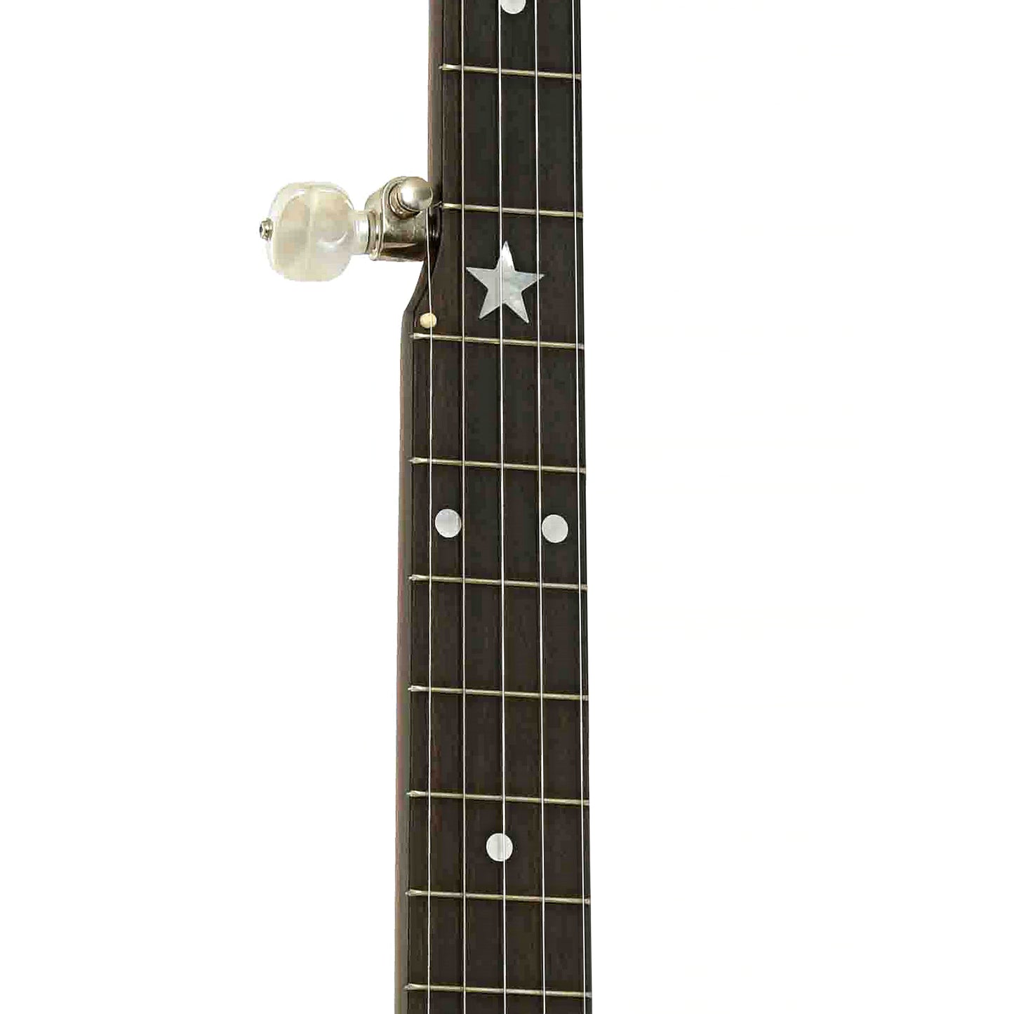 Fretboard of Bart Reiter Round Peak Open Back Banjo