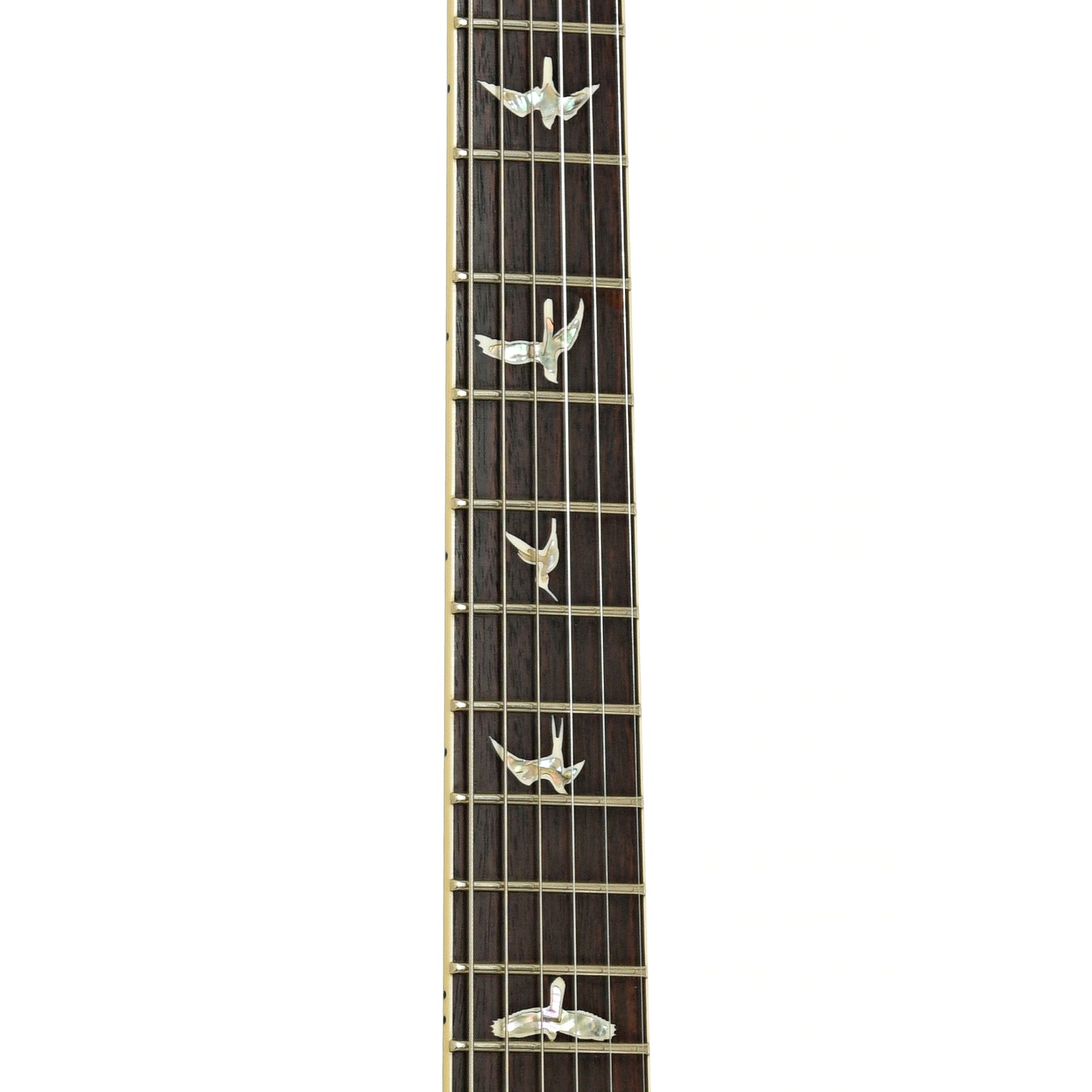 Fretboard of PRS Santana Signature Retro 10 Electric Guitar 