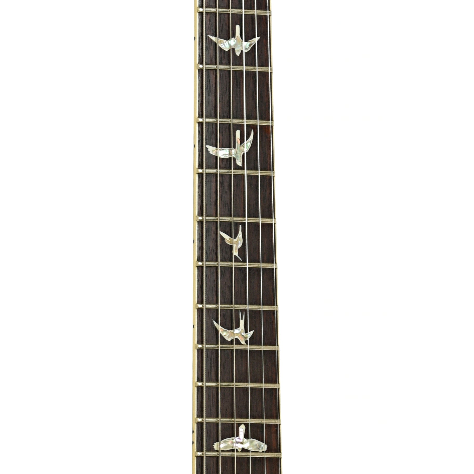 Fretboard of PRS Santana Signature Retro 10 Electric Guitar 