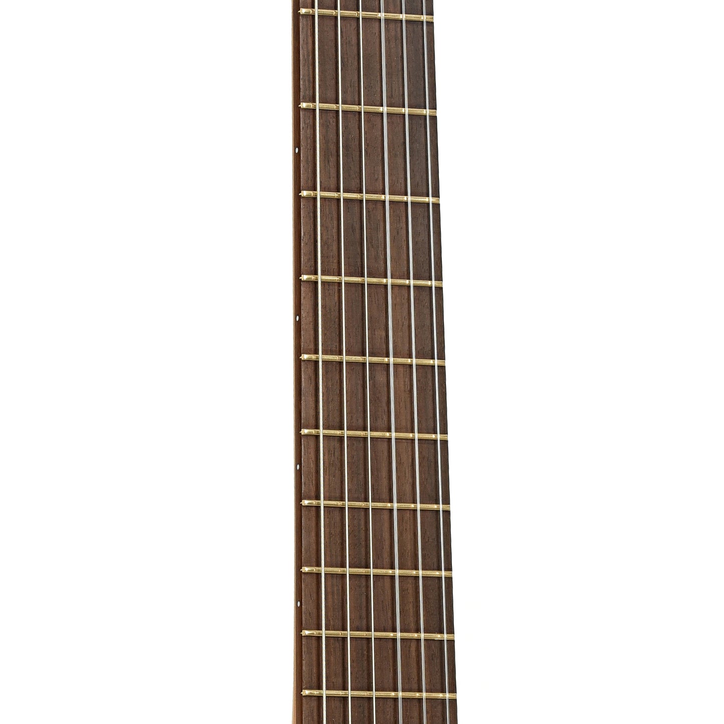 Fretboard of SF Allen Classical Guitar 
