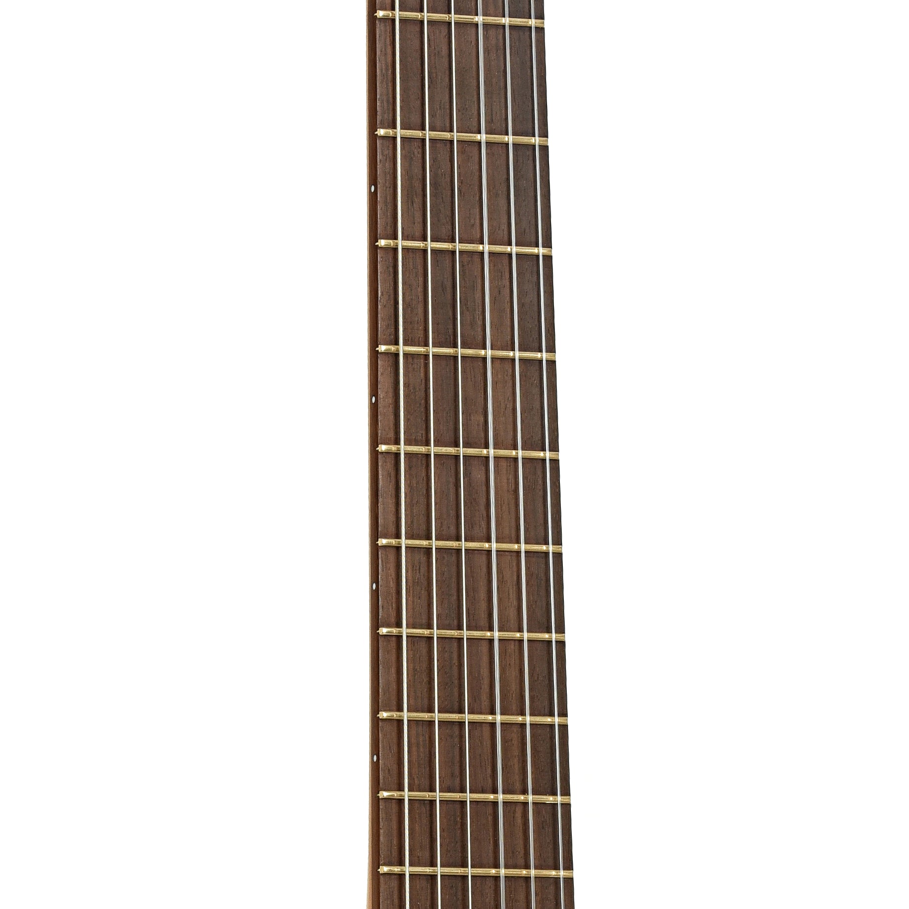 Fretboard of SF Allen Classical Guitar 