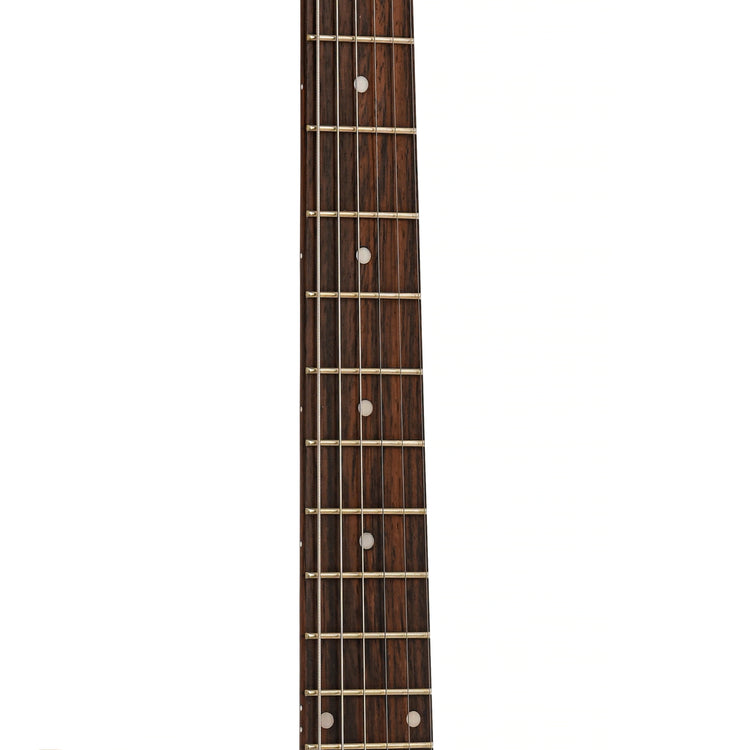 Fretboard of Sterling by Music Man Albert Lee AL40P Electric Guitar