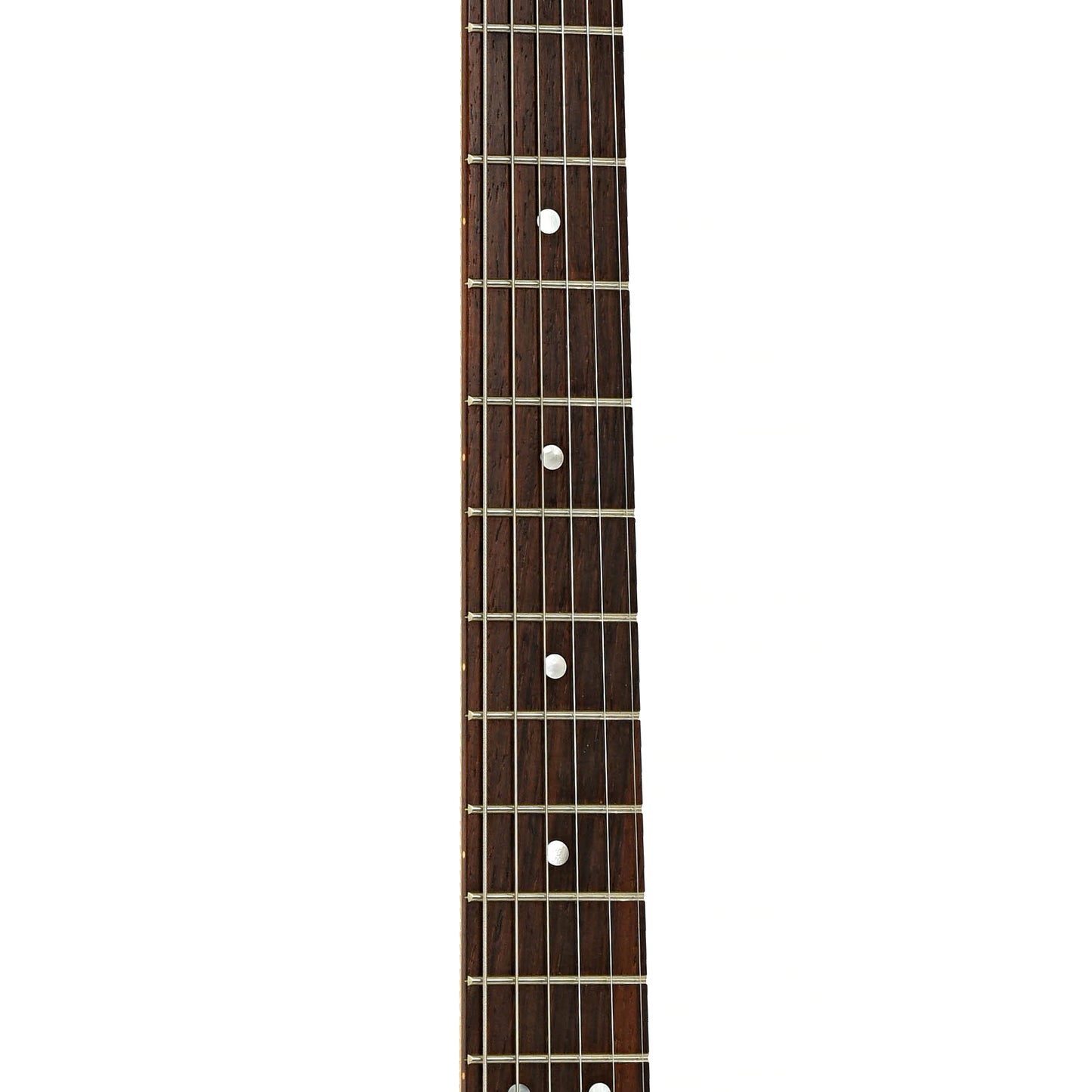 Fretboard of Wagner Snakeskin T Electric Guitar