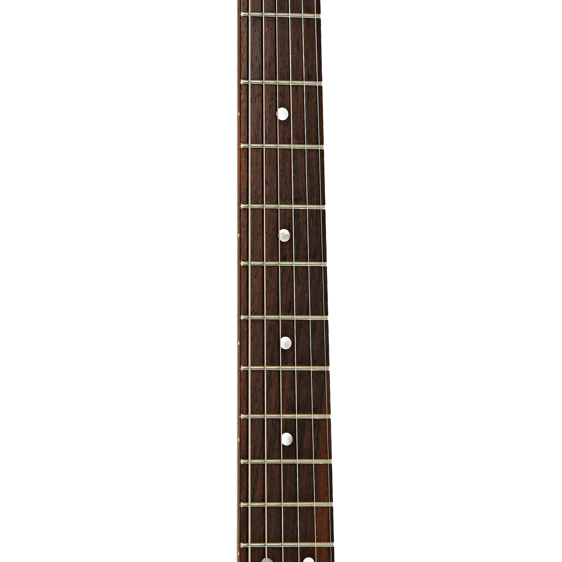 Fretboard of Wagner Snakeskin T Electric Guitar