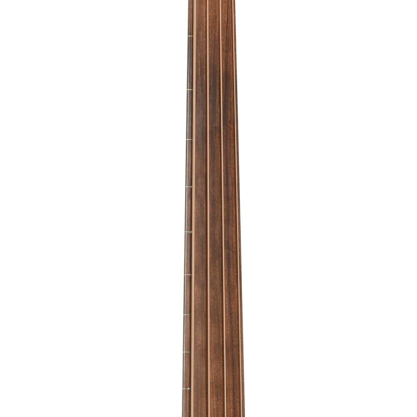 Fretboard of Rick Turner RB-4-FC Acoustic-Electric Bass
