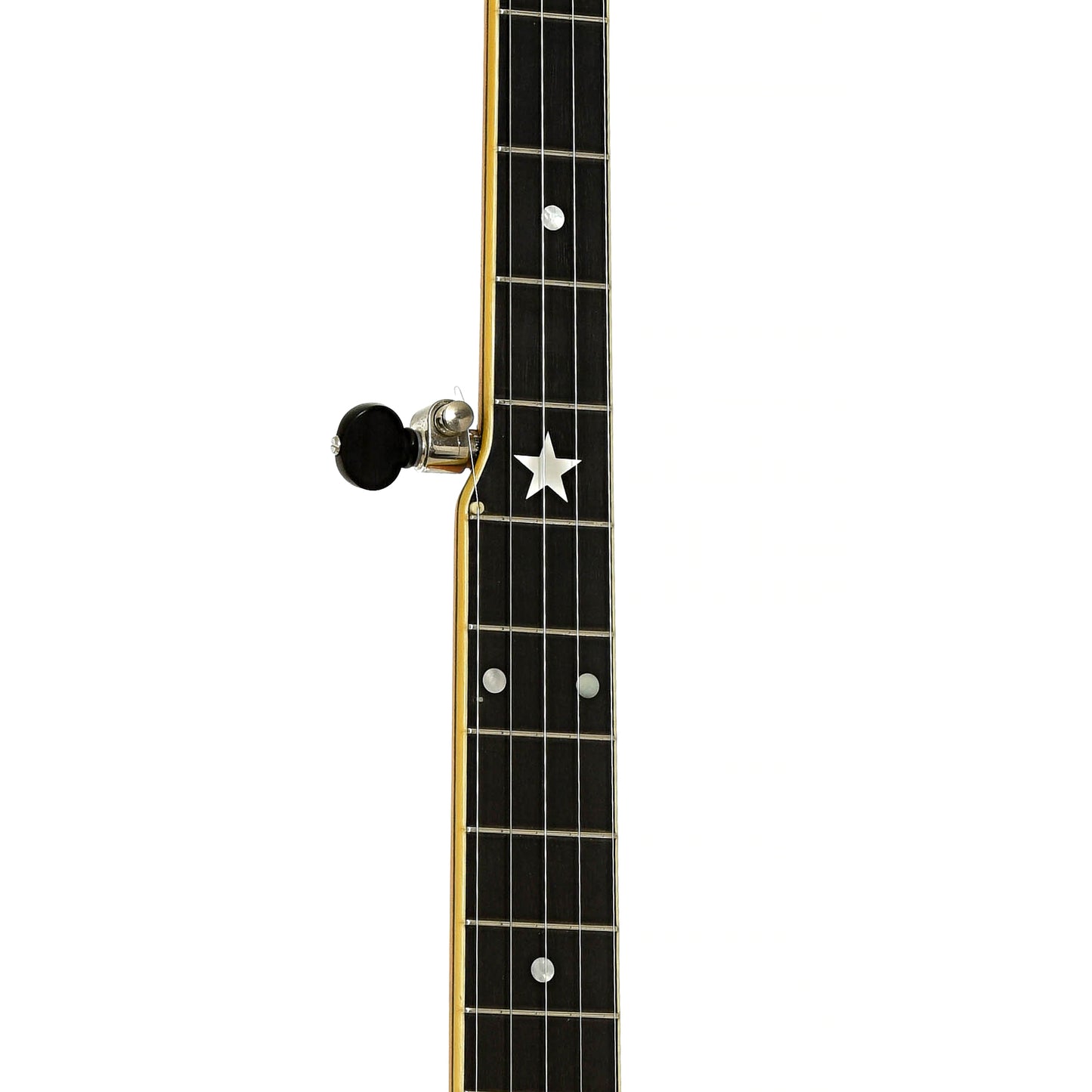 Fretboard of Bart Reiter Professional Open Back Banjo