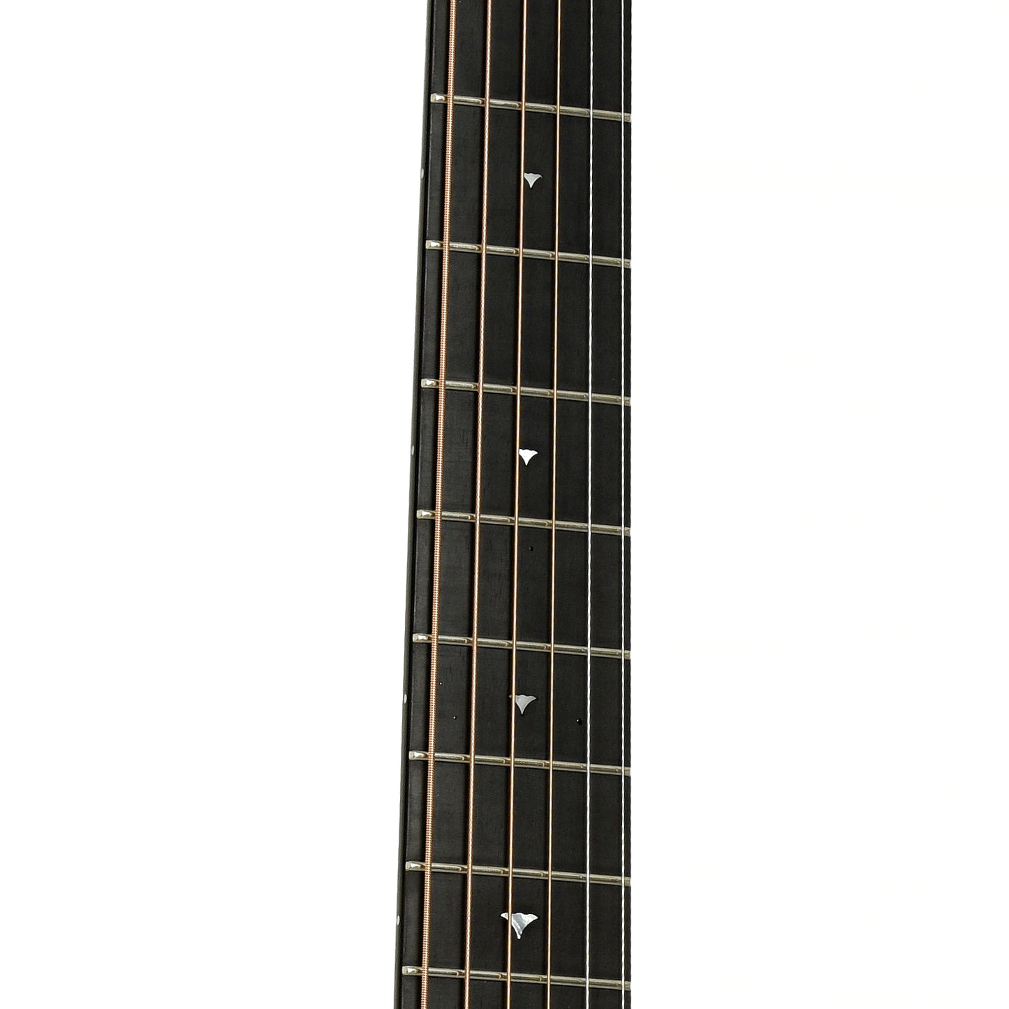 Fretboard of Bedell Angelica Bella Voce Acoustic-Electric Guitar 