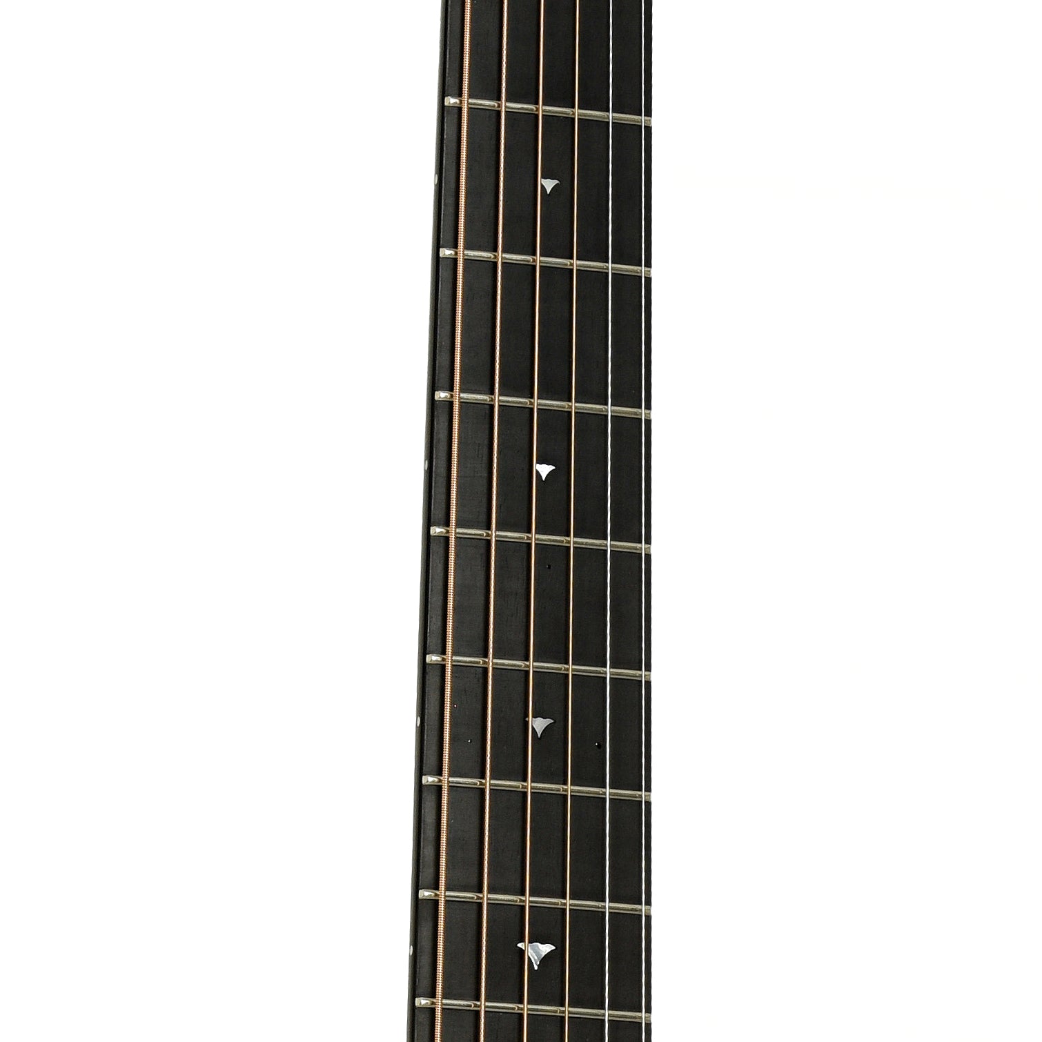 Fretboard of Bedell Angelica Bella Voce Acoustic-Electric Guitar 
