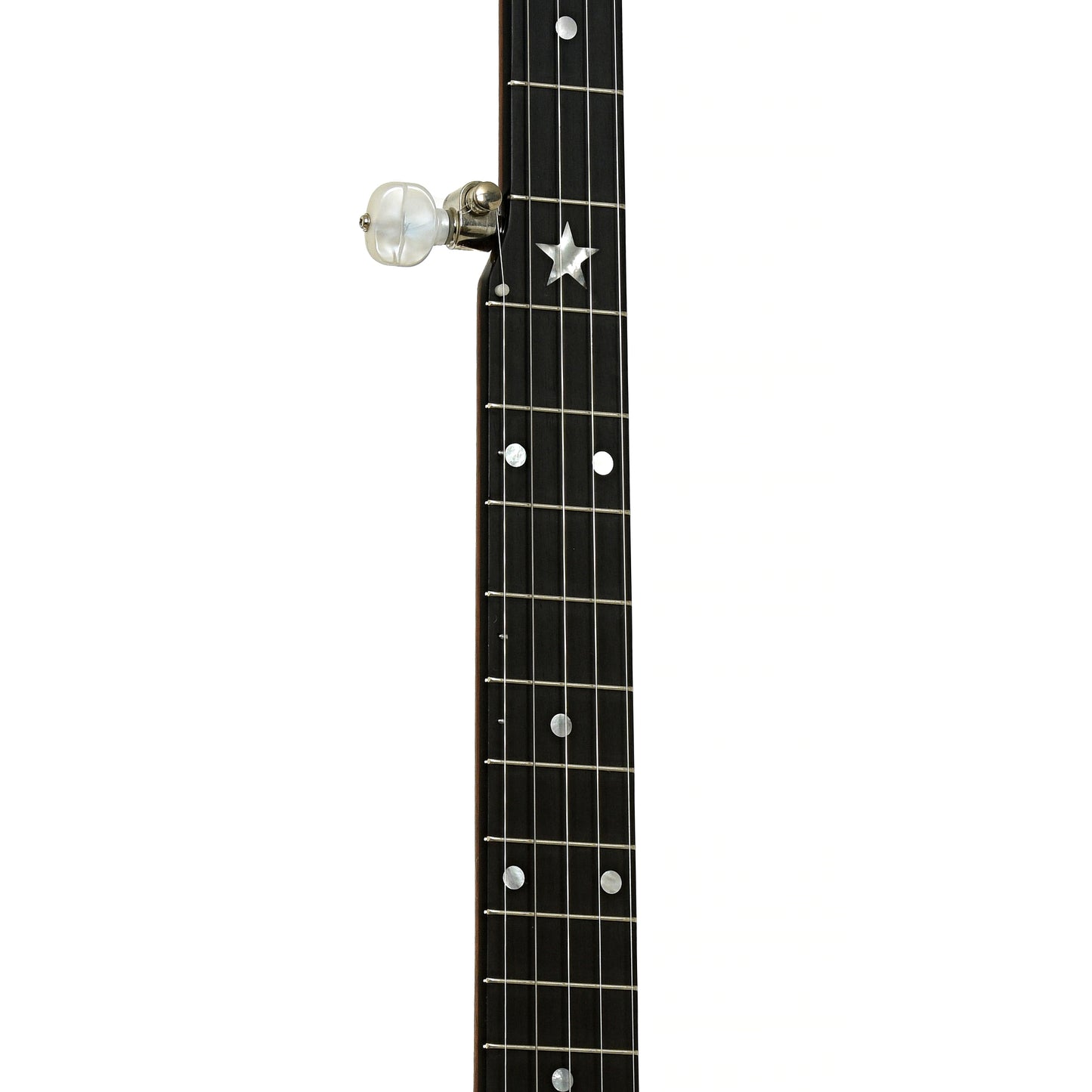 Fretboard of Bart Reiter Round Peak 12" Open Back Banjo