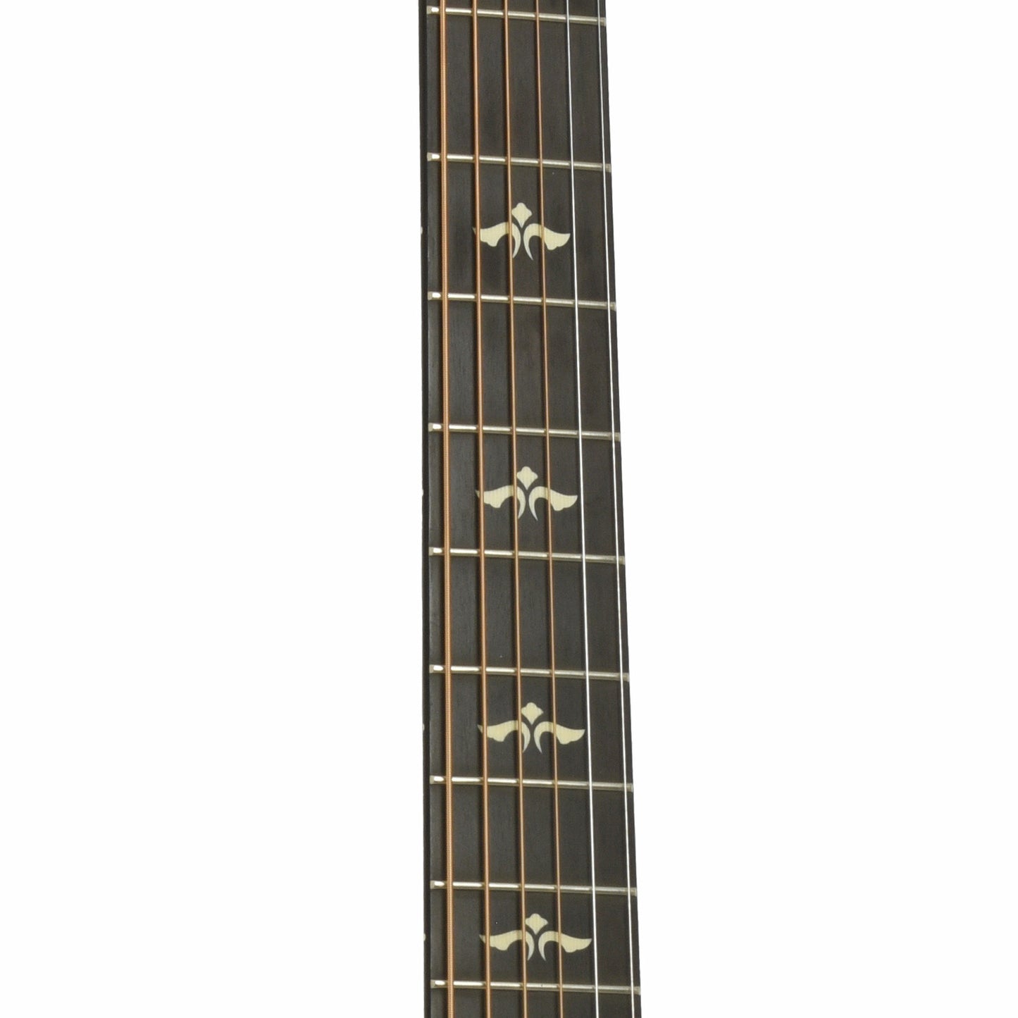 Fretboard of Taylor 618E Acoustic-Electric Guitar 
