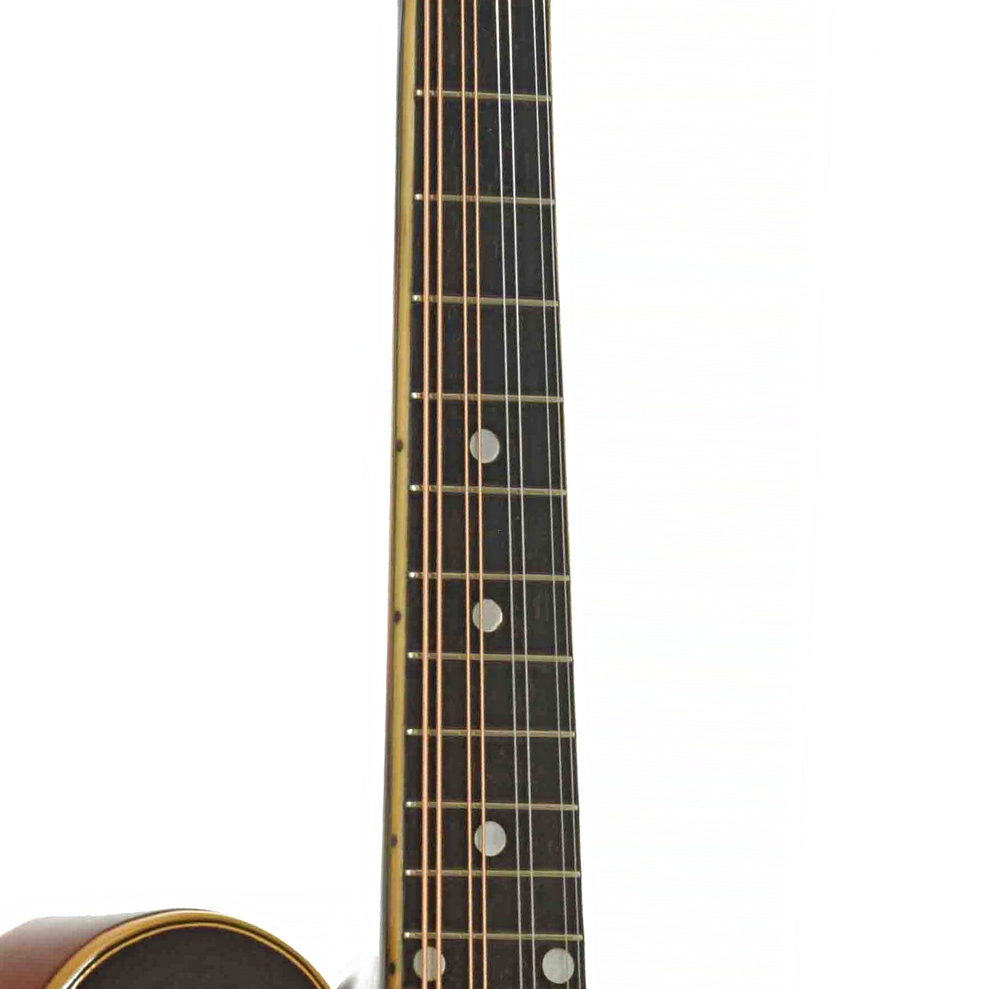 Fretboard of Gibson F-5 Master Model