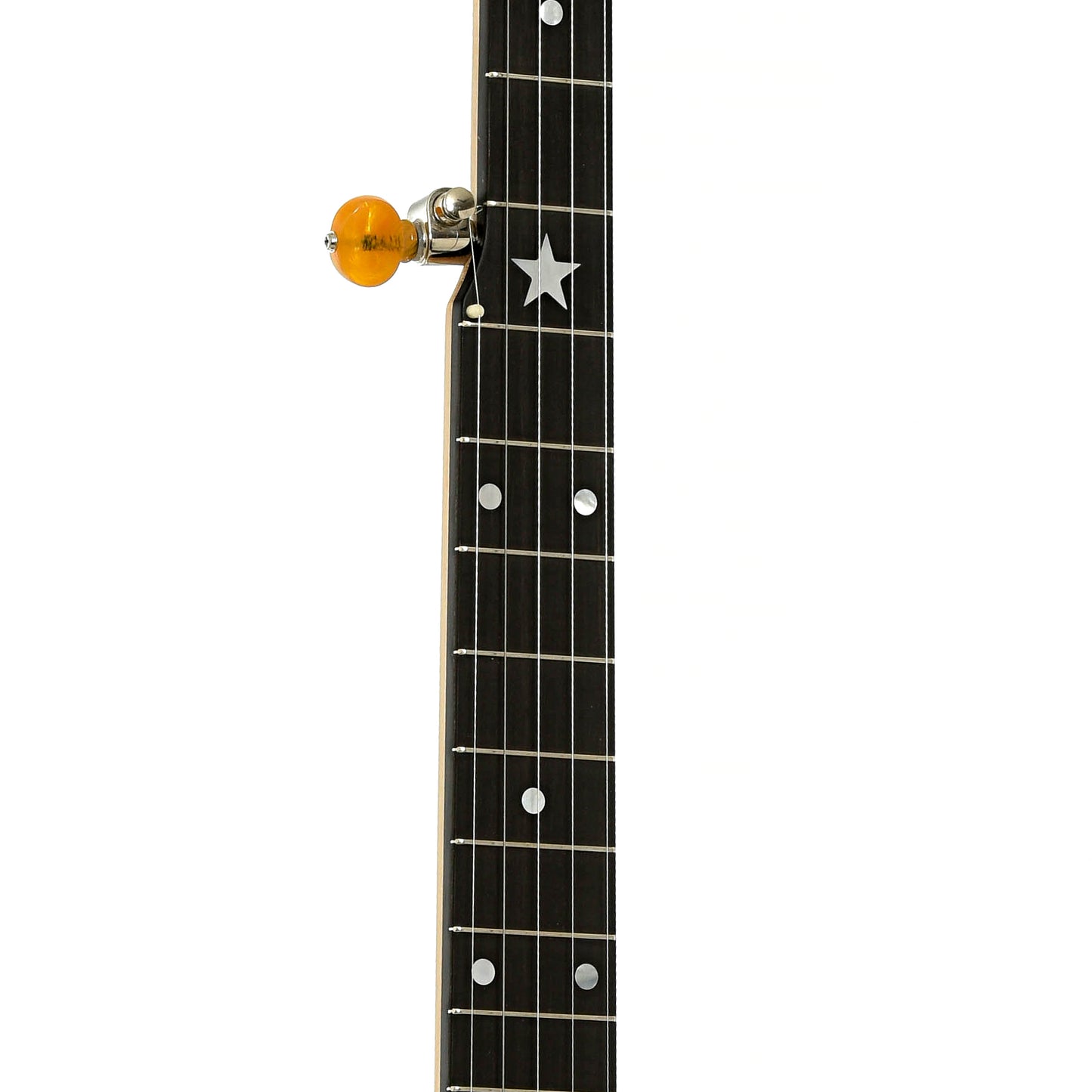 Fretboard of Bart Reiter Regent Custom Openback Banjo 