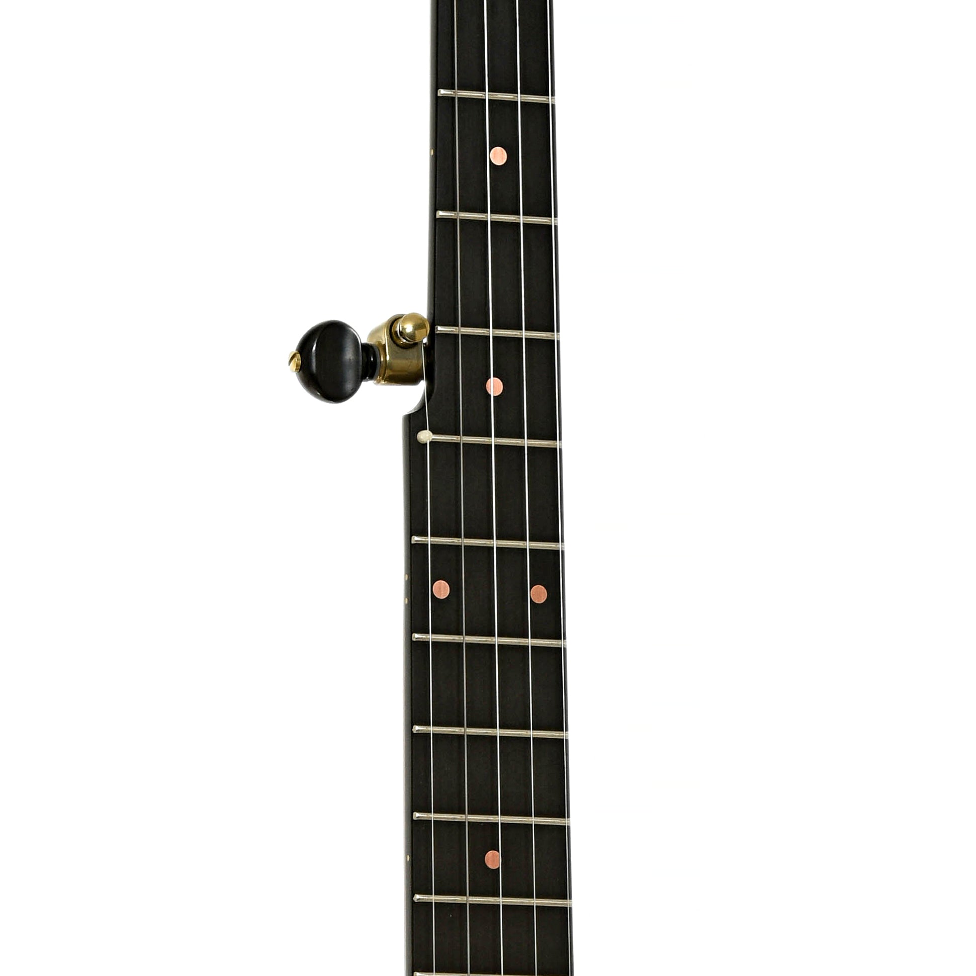 Fretboard of Pisgah Wonder Maple 11" Open Back Banjo