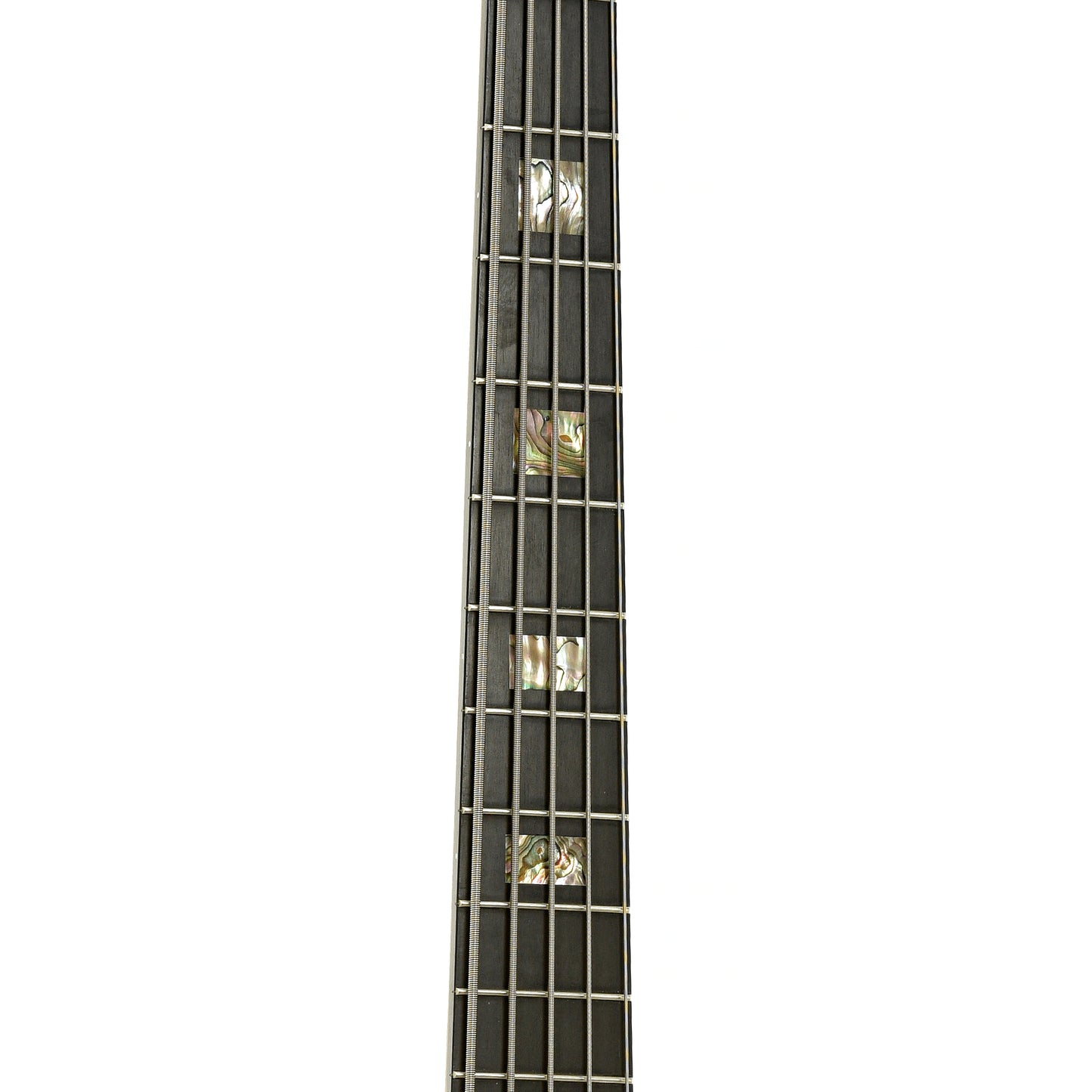 Fretboard of Carvin LB-75  5-String Electric Bass