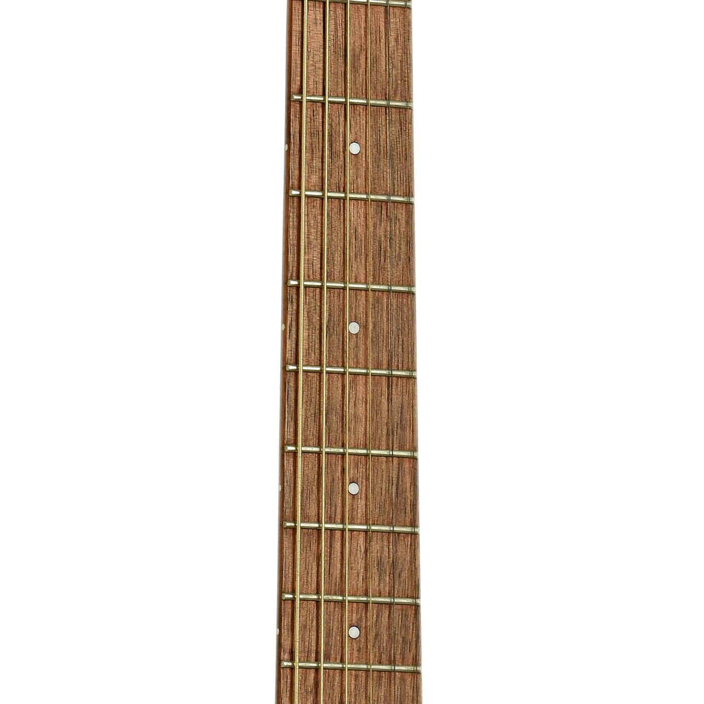 Fretboard of Fender Newporter Player Champagne Acoustic Guitar