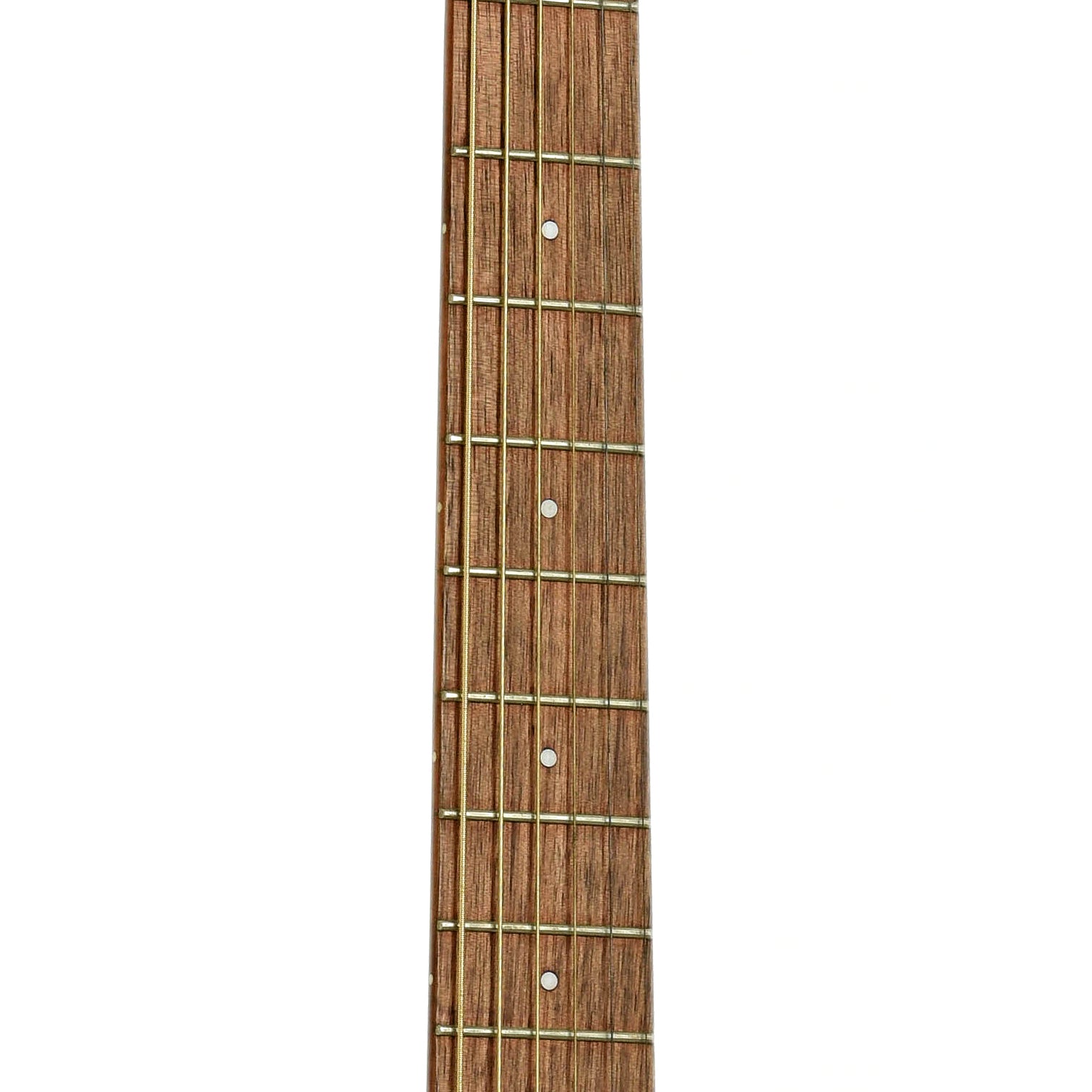 Fretboard of Fender Newporter Player Champagne Acoustic Guitar