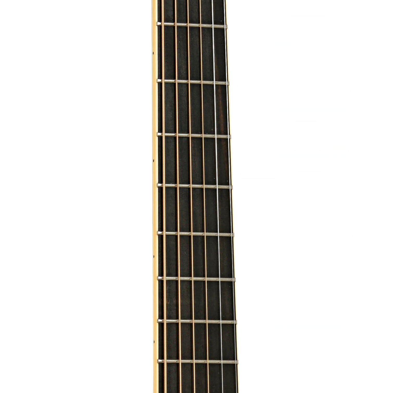 Fretboard of Taylor XXV-GA 25th Anniversary