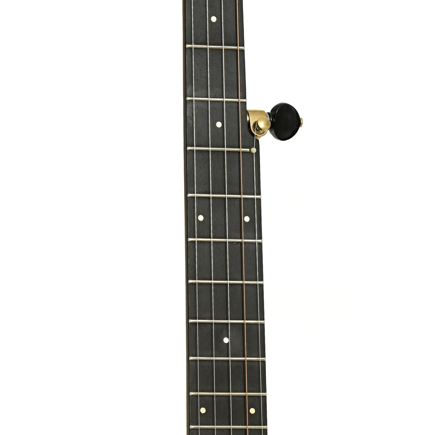 Fretboard of Pisgah Roscoe 12" Lefthanded Openback Banjo 