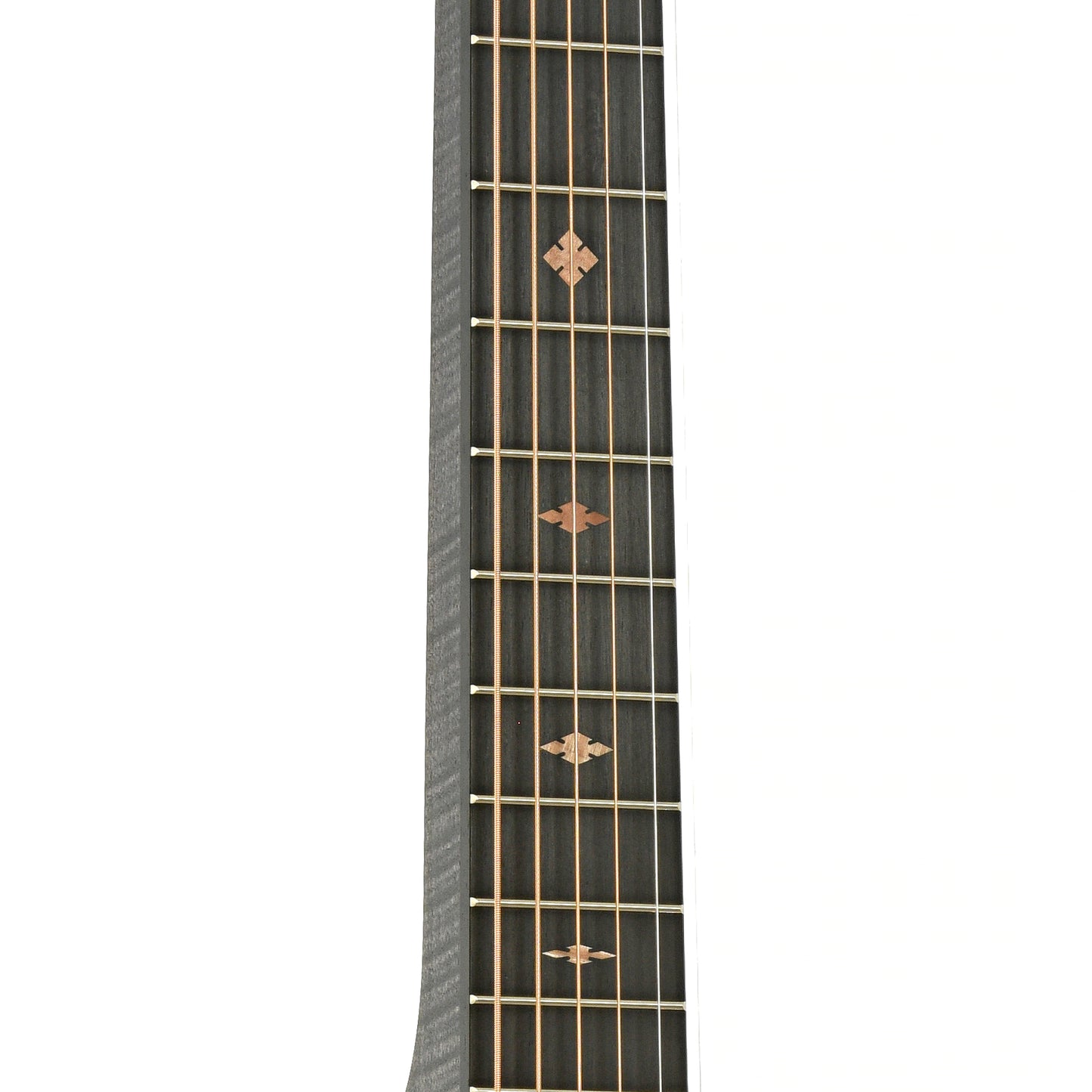 Fretboard of Beard Trailhead Squareneck Resonator Guitar Black Ice Finish