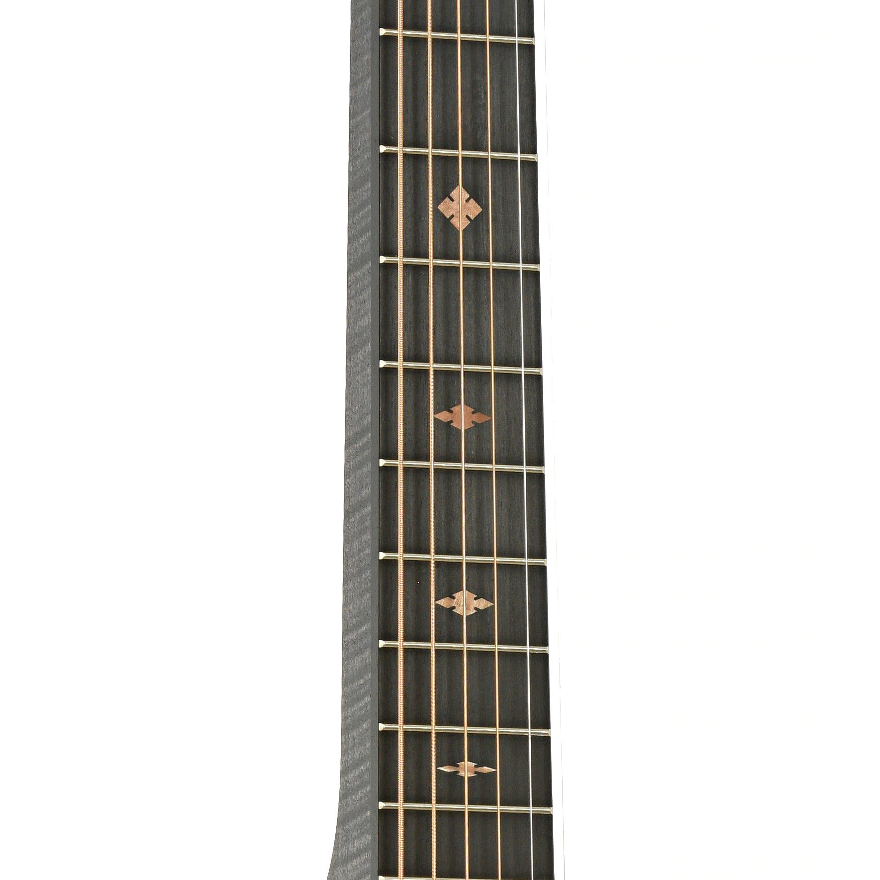 Fretboard of Beard Trailhead Squareneck Resonator Guitar Black Ice Finish
