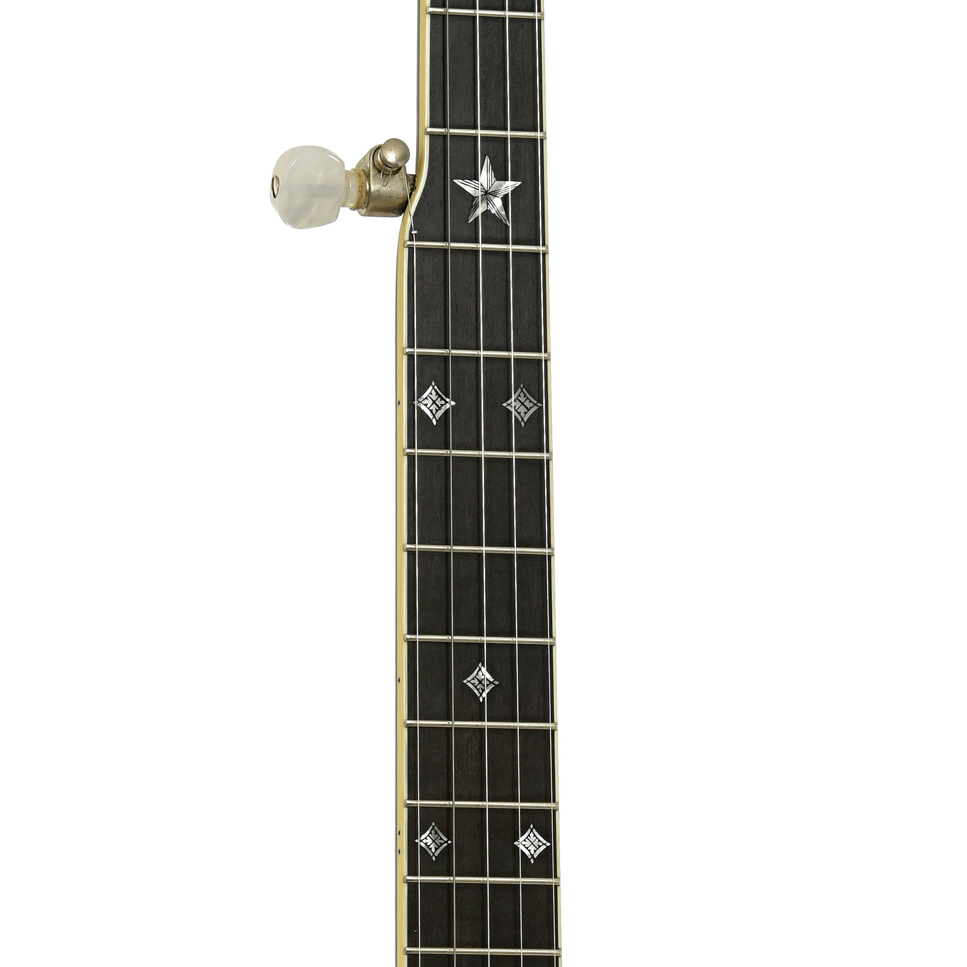 Fretboard of Prucha Premium Griffon Open Back Banjo
