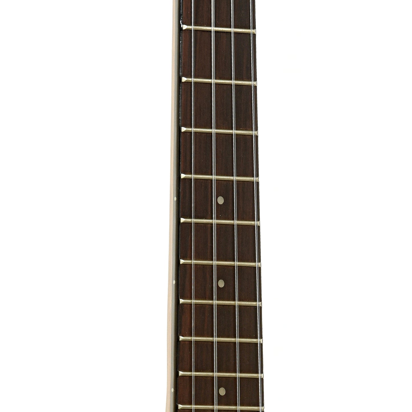 fretboard of Kala  ULTP-SSMHG-C Concert Ukulele