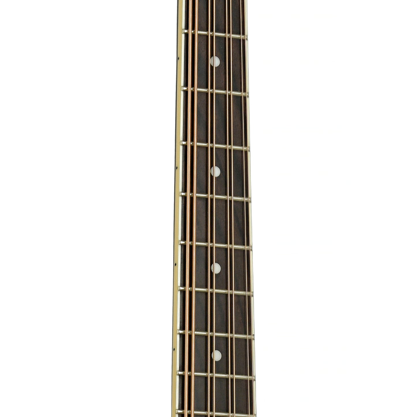 Fretboard of Gold Tone Acoustic-Electric Mandocello