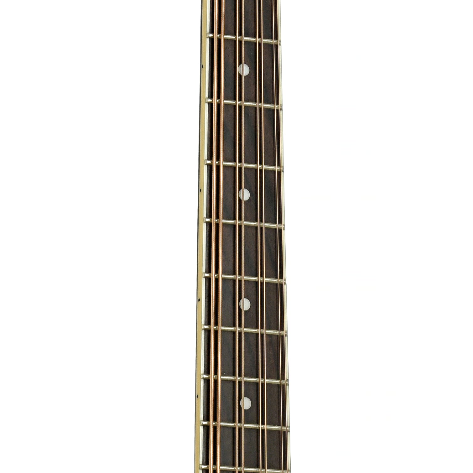 Fretboard of Gold Tone Acoustic-Electric Mandocello