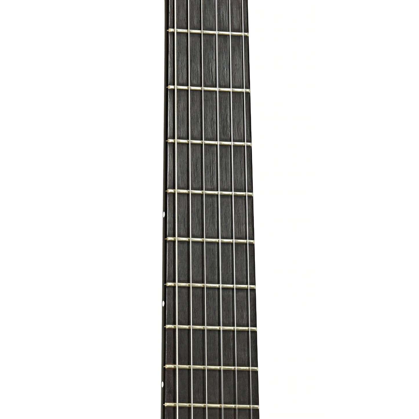 Fretboard of Manuel Contreras Classical Guitar 