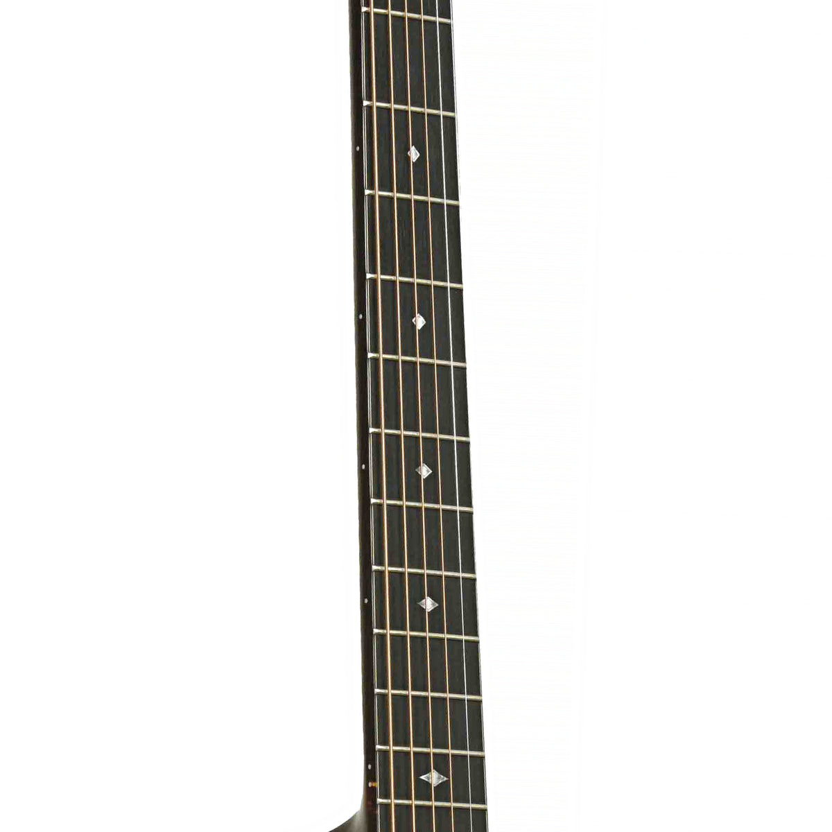 Fretboard of Taylor 516CE Acoustic-Electric Guitar