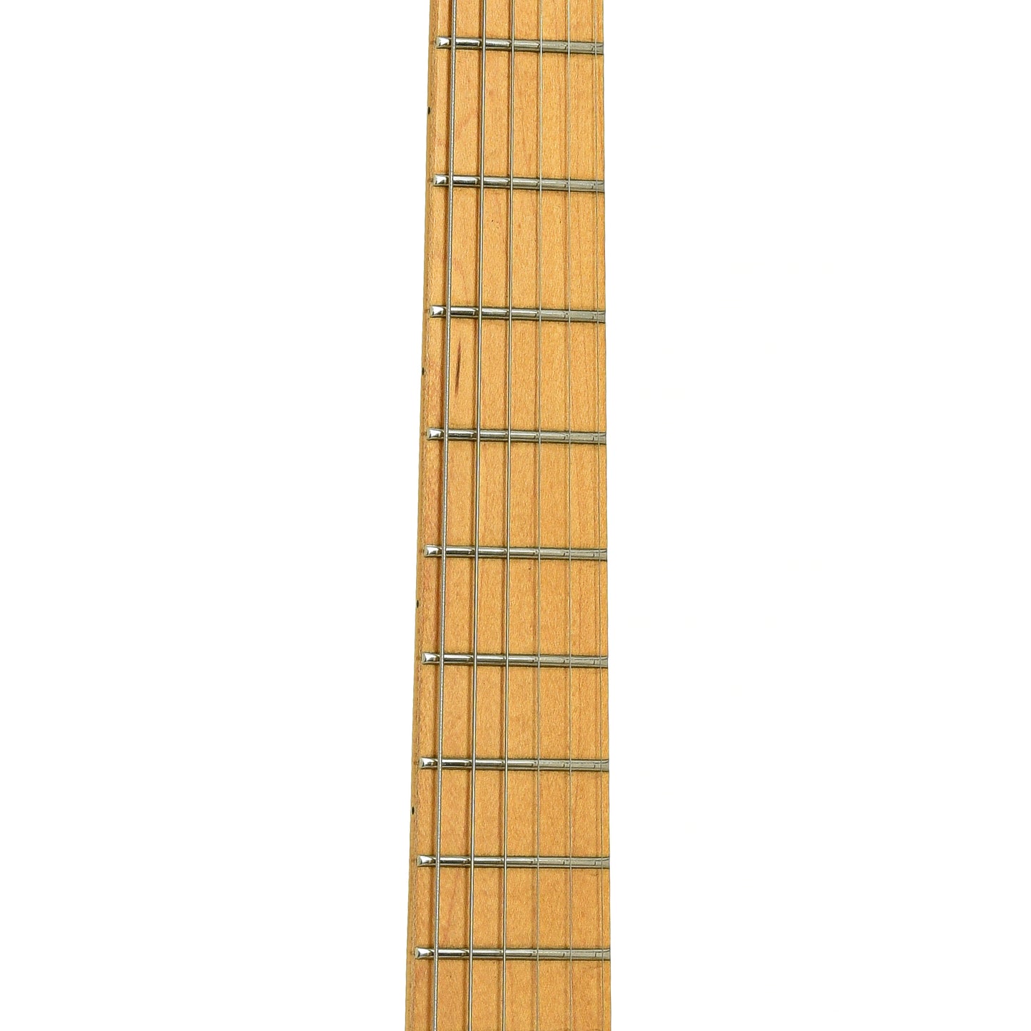 Fretboard of Parker P-36 Electric Guitar