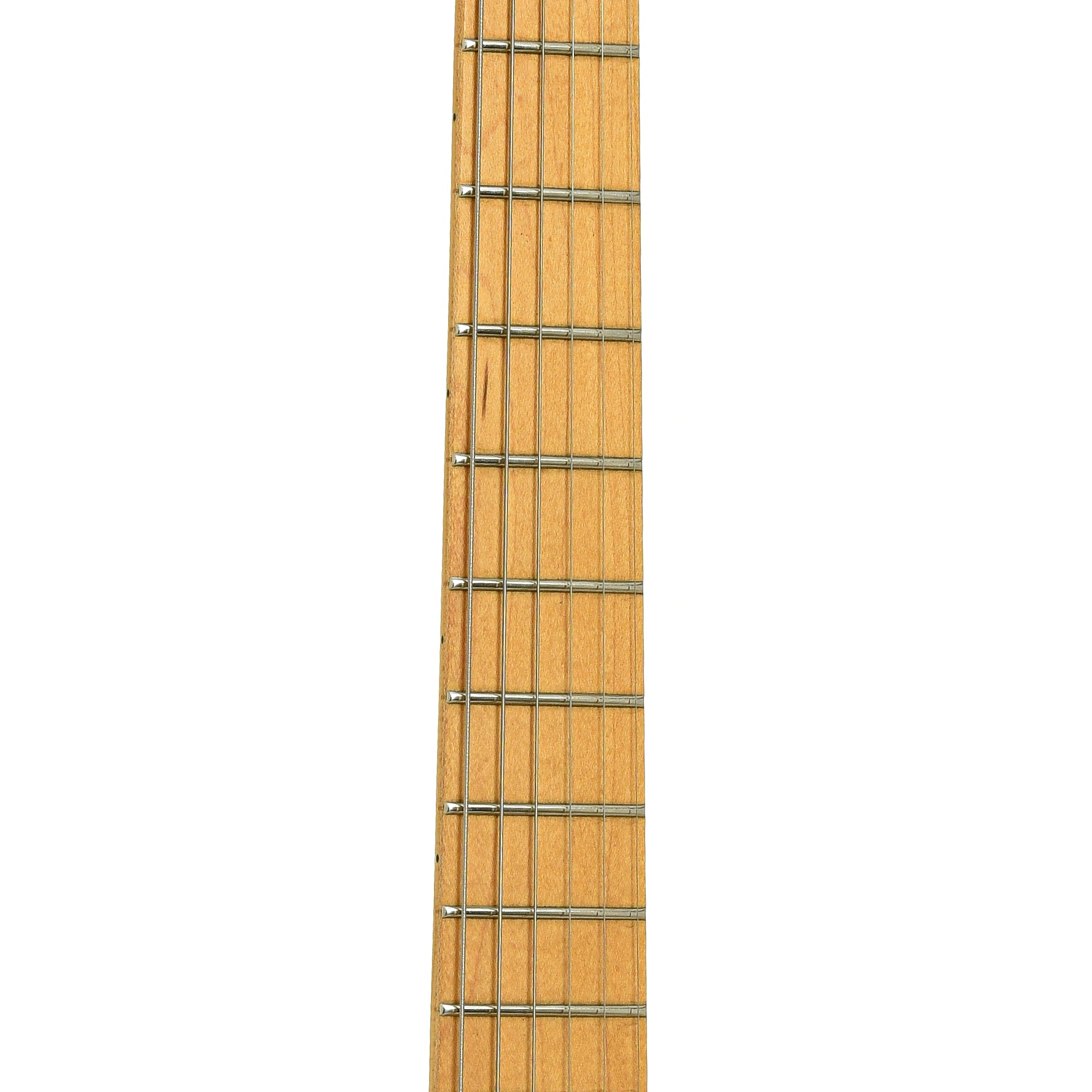 Fretboard of Parker P-36 Electric Guitar