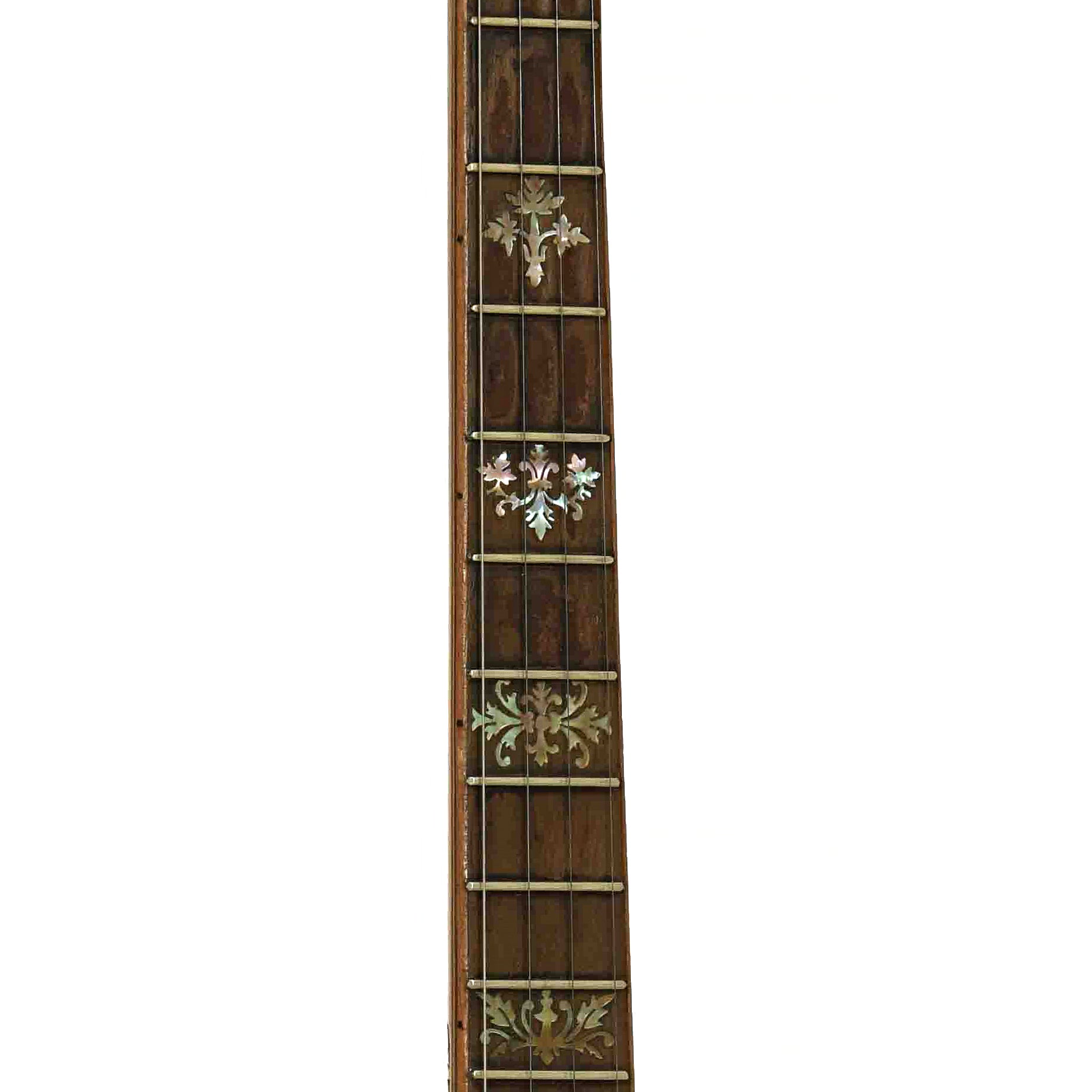 Fretboard of Orpheum No.3 Tenor Banjo 