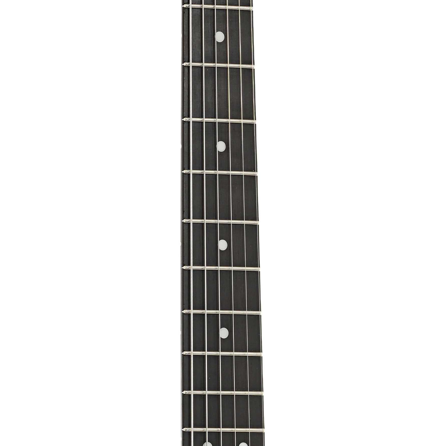 Fretboard of S-Style Parts Electric Guitar (2010s)