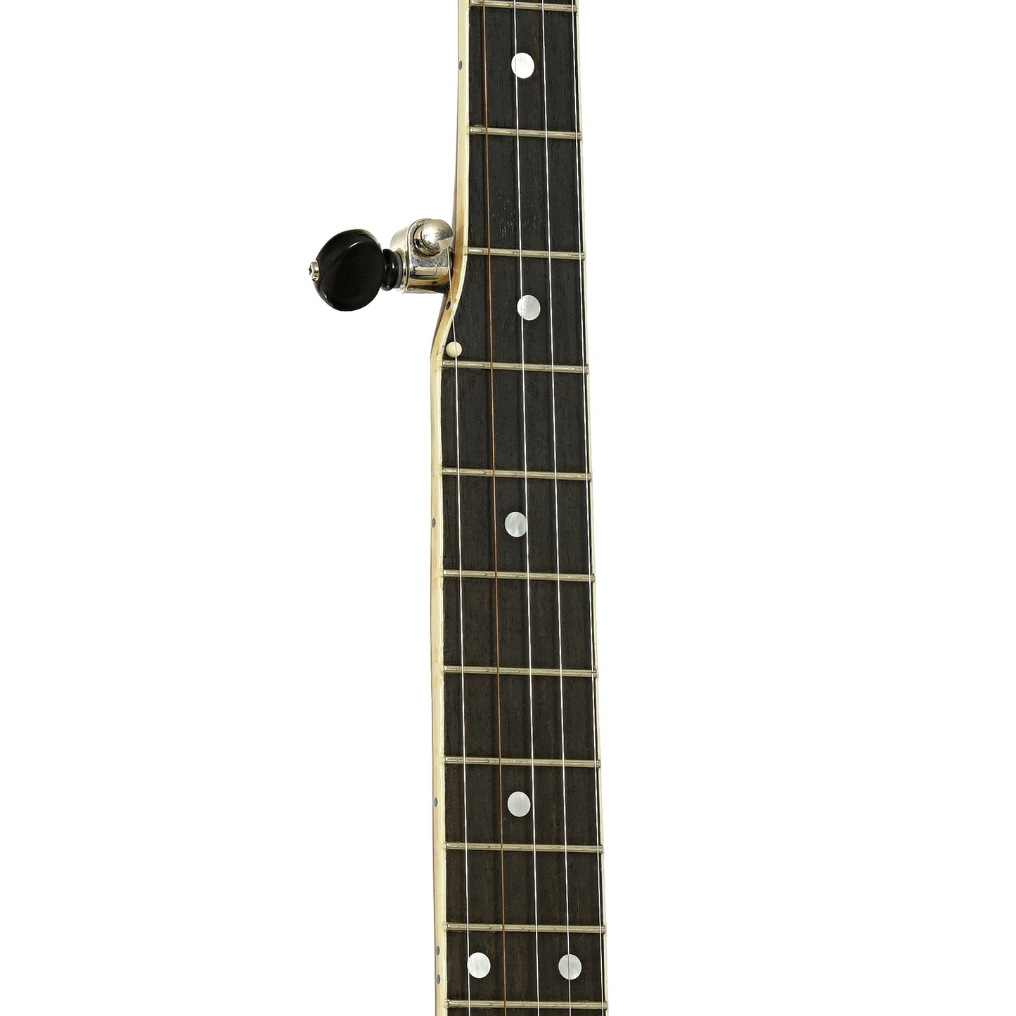 Fretboard of Gibson TB-1 Trapdoor Conversion Banjo