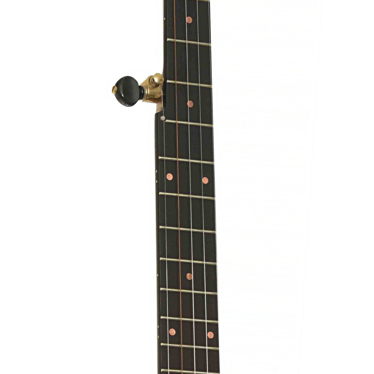Pisgah Laydie 11in Short Scale Openback Banjo & Gigbag