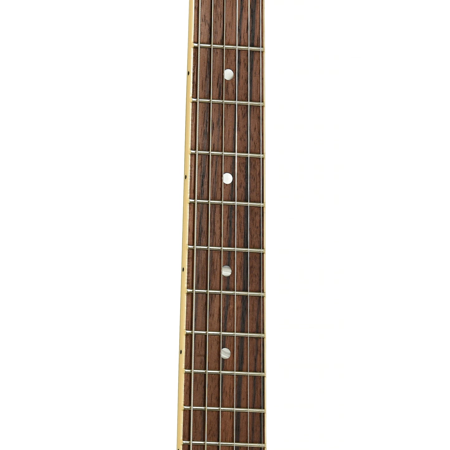 Fretboard of Gibson Les Paul Special Electric Guitar