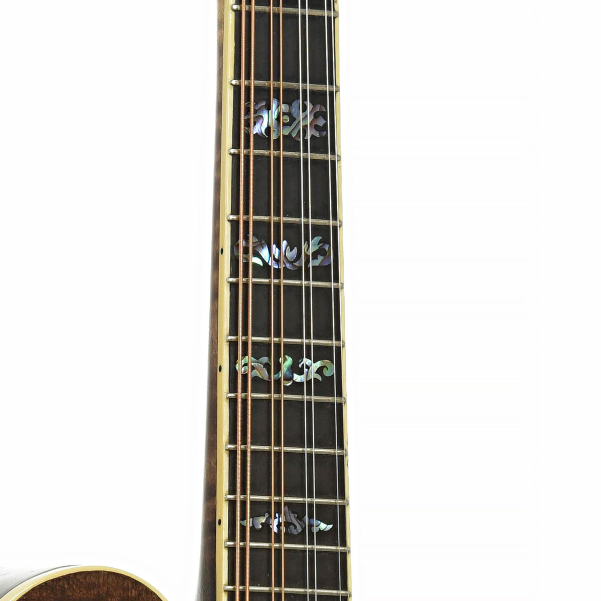 Fretboard of Hook F-Style Mandolin 