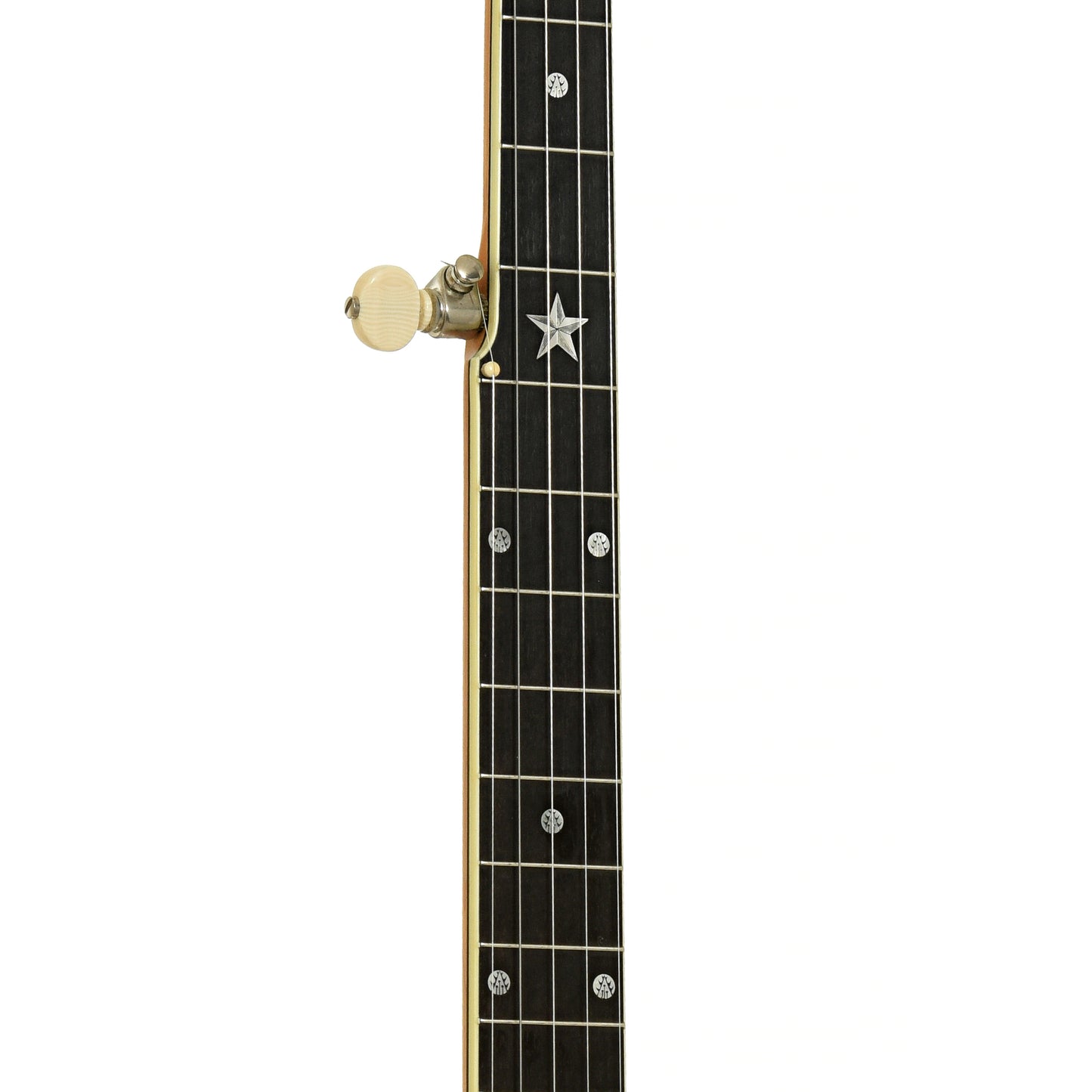 Fretboard of Vega Whyte Laydie Conversion No.2 Openback Banjo 