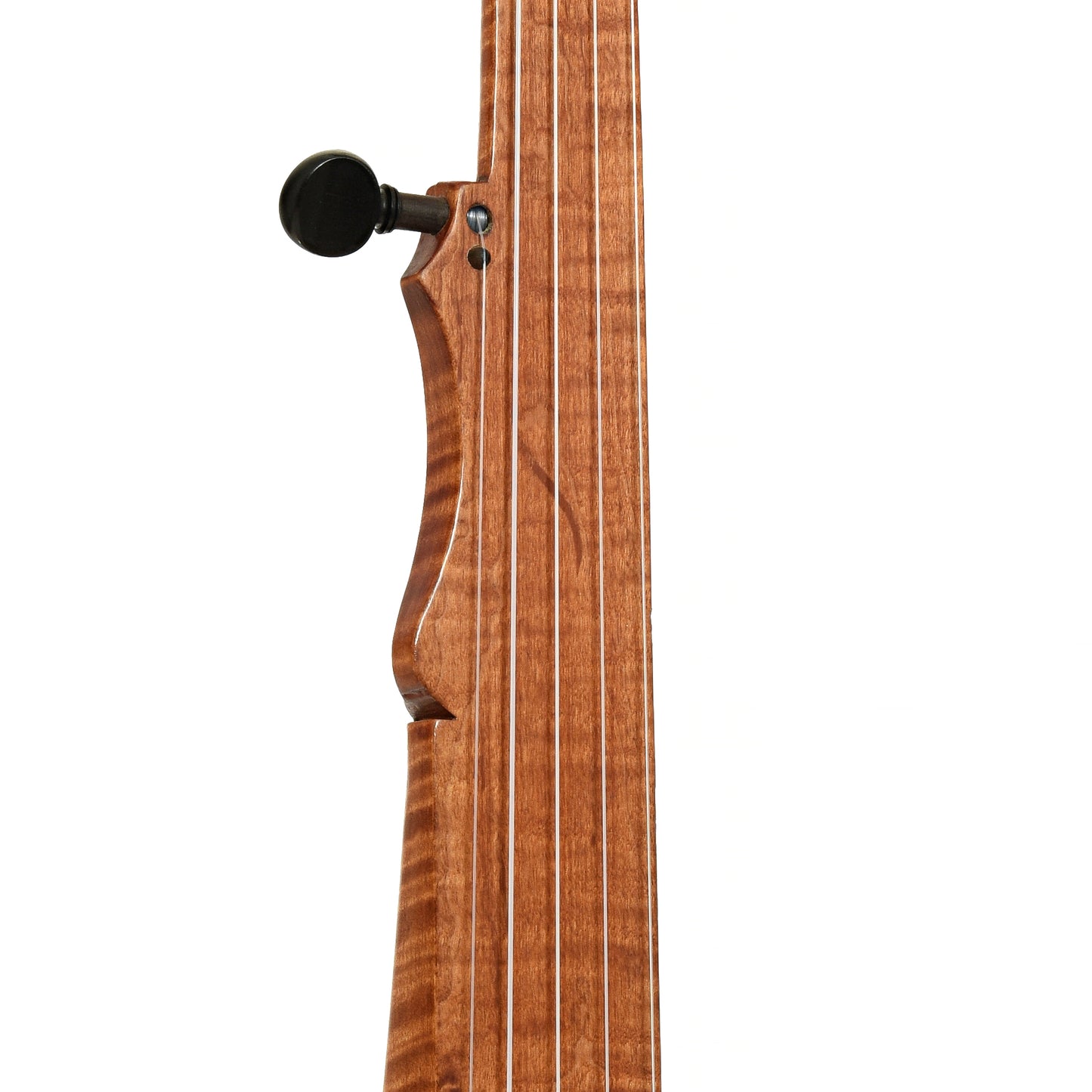 Fretboard of Bob Flesher Andersonville Minstrel Banjo 