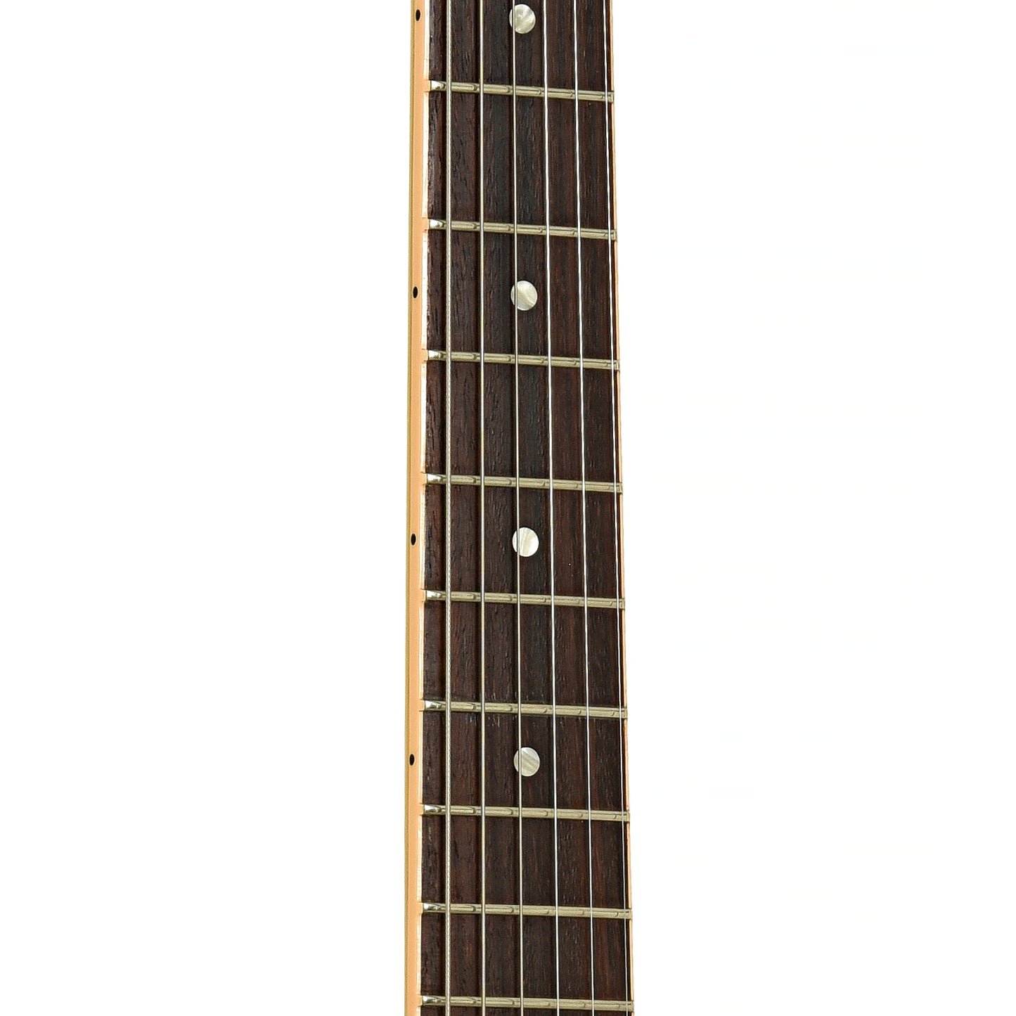 Fretboard of Gibson Les Paul Special Electric Guitar